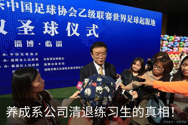 养成系公司清退练习生的真相！