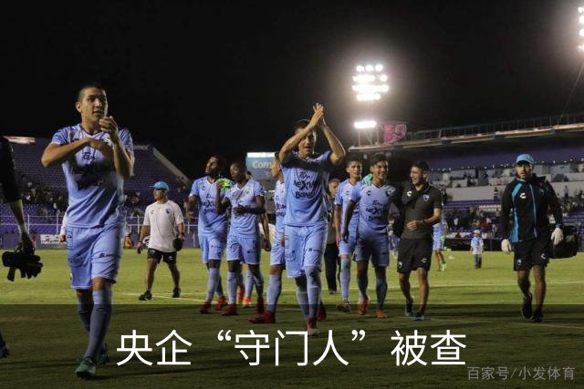 央企“守门人”被查