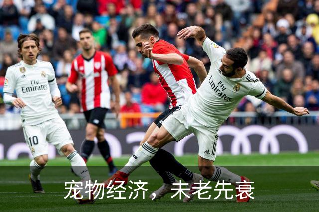 宠物经济，未老先衰