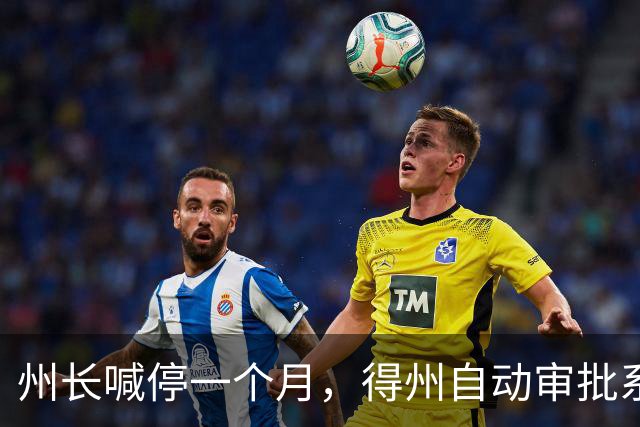 州长喊停一个月，得州自动审批系统还在盖章