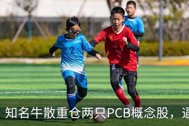 知名牛散重仓两只PCB概念股，逼近举牌线