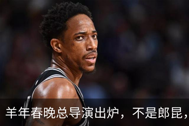 羊年春晚总导演出炉，不是郎昆，也不是哈文，而是刚收获好评的她