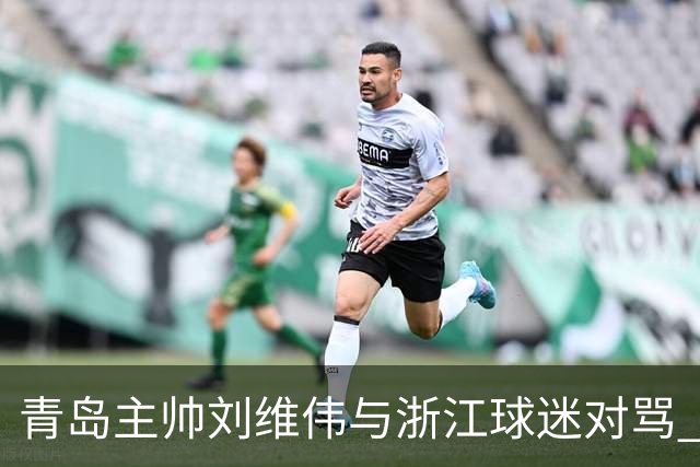 青岛主帅刘维伟与浙江球迷对骂 被罚款4万元人民币