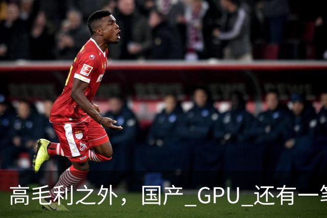 高毛利之外，国产 GPU 还有一笔 “软件账”