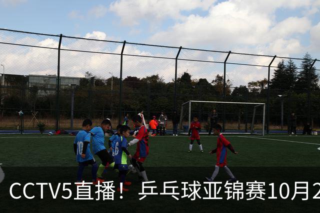 CCTV5直播！乒乓球亚锦赛10月25日赛程：温瑞博战张本智和，蒯曼战张本美和，国乒冲4冠