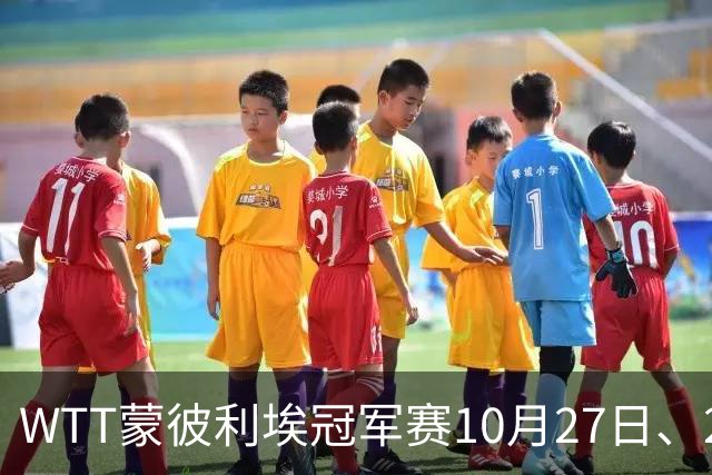 WTT蒙彼利埃冠军赛10月27日、28日、29日国乒赛程+央视直播：孙颖莎、林诗栋、陈熠3人出战